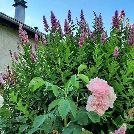 La Boissellerie Maison d'hôtes Saulxures-sur-Moselotte