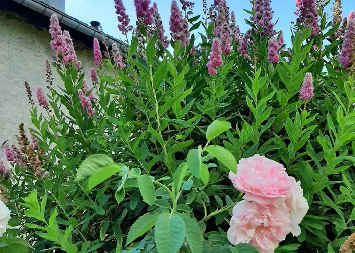 La Boissellerie Gasthuis Saulxures-sur-Moselotte